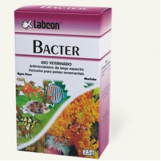 Labcon Bacter 10 cápsulas
