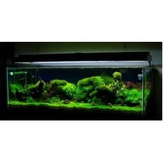 Aquário Cube AquaGolden de Acrílico 600 Litros